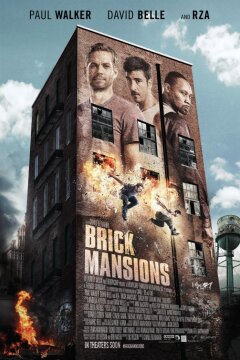 Brick Mansions