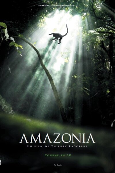 Biloba - Amazonia - 2D
