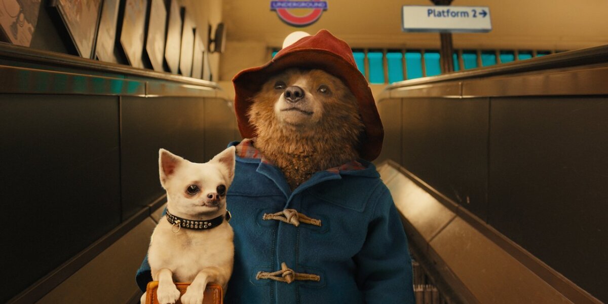 StudioCanal - Paddington