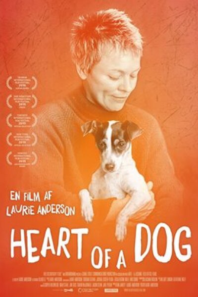 Canal Street Communications - Heart of a Dog