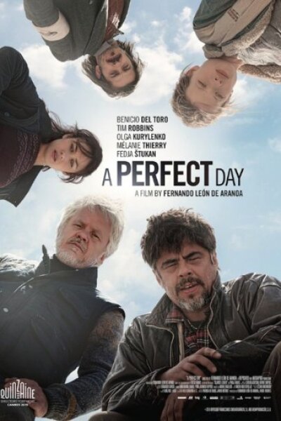 MediaPro - A Perfect Day