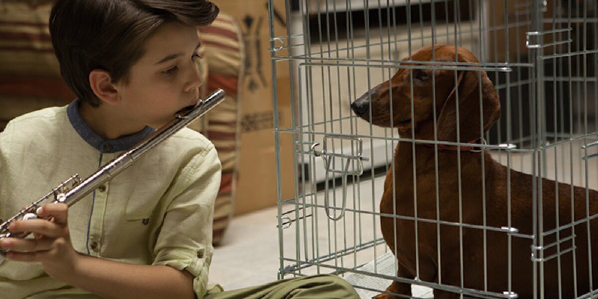 Annapurna Pictures - Wiener-Dog