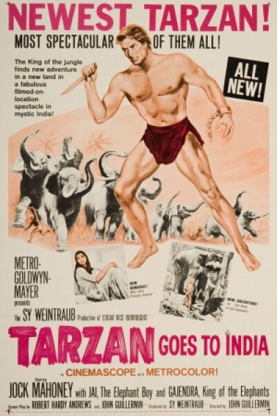 Allfin A.G. - Tarzan og elefanternes konge