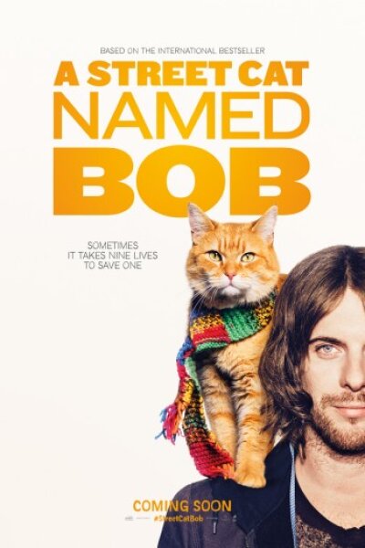 Shooting Script Films - A Street Cat Named Bob