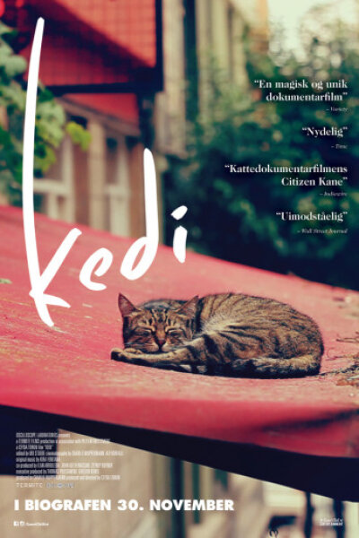 Termite Films - Kedi