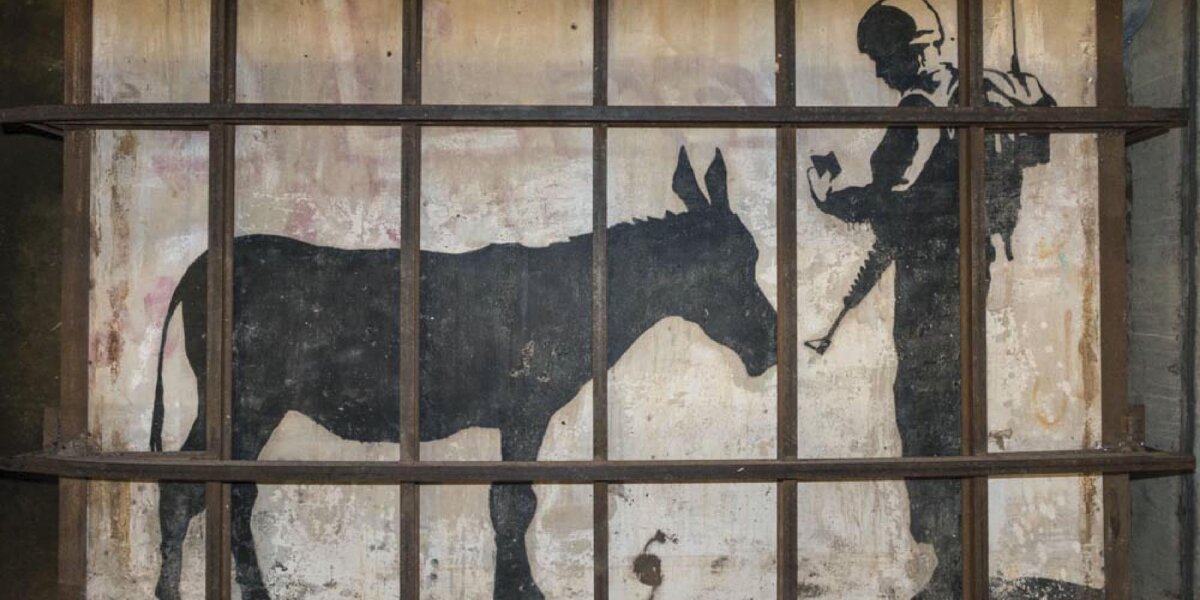 The Man Who Stole Banksy