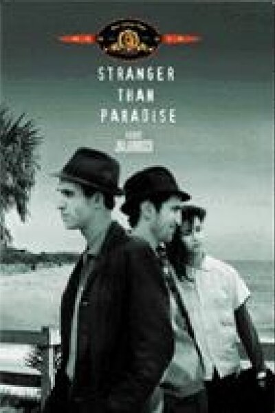 Zweites Deutsches Fernsehen - Stranger Than Paradise