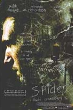 Spider