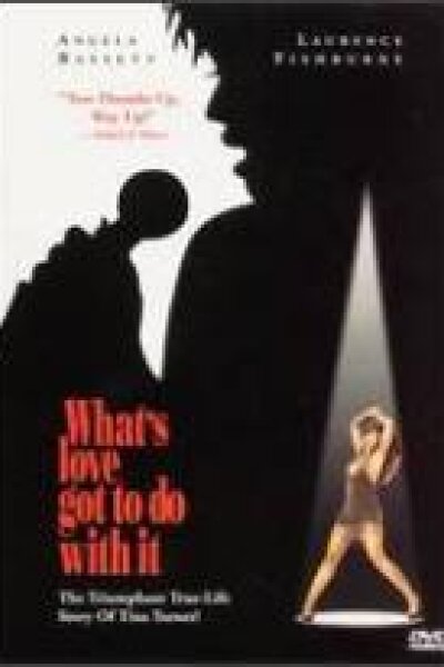 Touchstone Pictures - Tina, what's Love Got to Do with It?