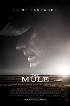 The Mule