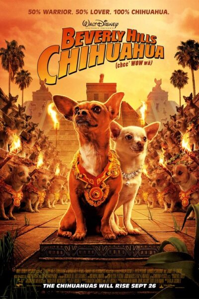 Smart Entertainment - Beverly Hills Chihuahua