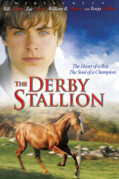 The Derby Stallion