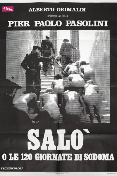 Salo