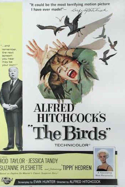 Universal Pictures - Fuglene
