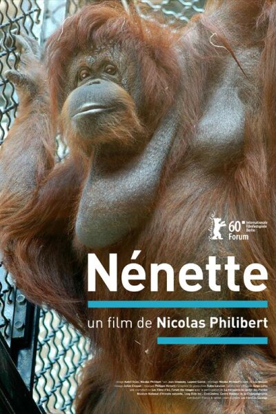 Les Films d'Ici - Nénette