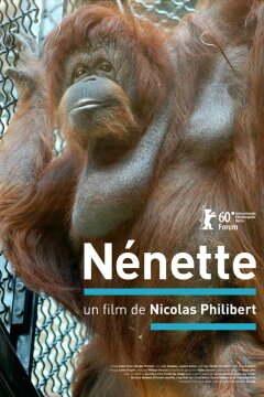 Nénette