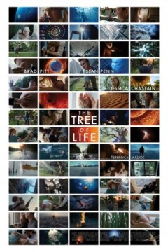 The Tree Of Life