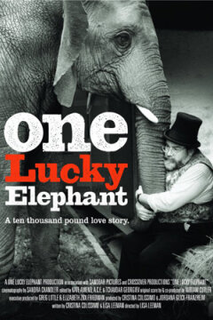 One Lucky Elephant