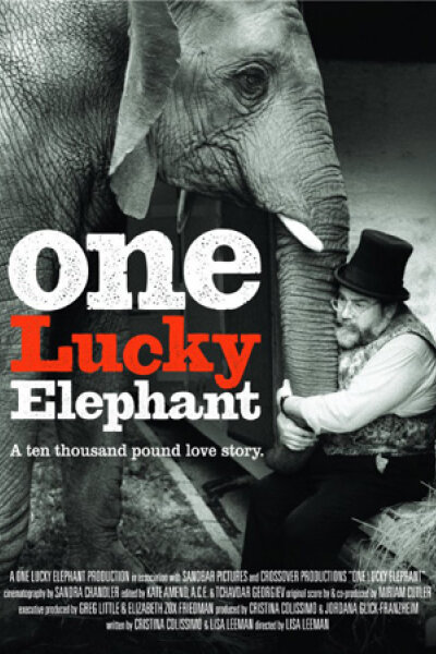 Sandbar Pictures - One Lucky Elephant