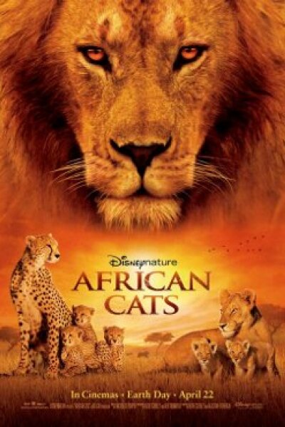 Walt Disney Studios - African Cats