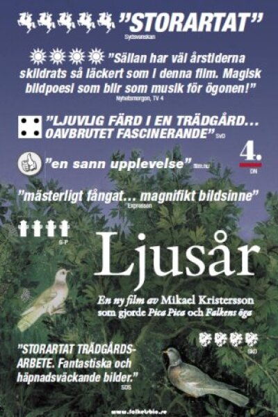 Lisbet Gabrielsson Film AB - Lysår