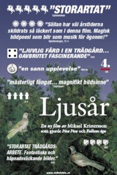 Lysår