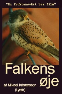 Falkens øje