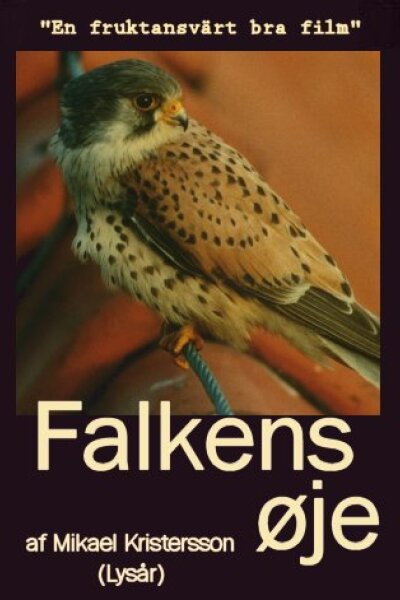 Falkens øje