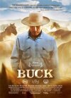 Hestehviskeren Buck