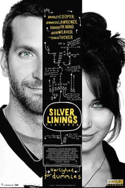 Mirage Enterprises - Silver Linings Playbook