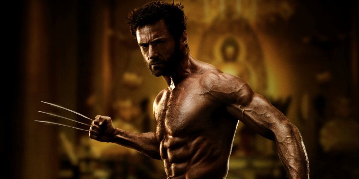 Marvel Enterprises - The Wolverine - 2 D