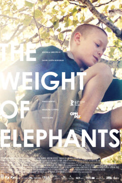 The Weight of Elephants